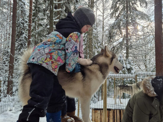 Talvine Võlumaa: metsaseiklus, kelgukoera kaisus ja lõkkepiknik
